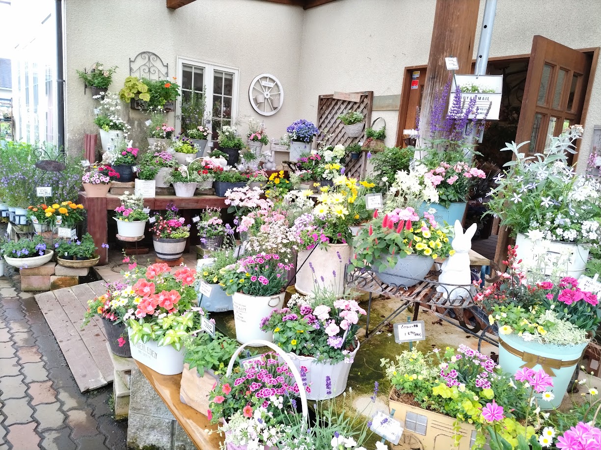 奈良県橿原市周辺 園芸店めぐり 6店舗 | miicaのゆびいろ